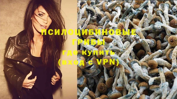 бошки Абдулино