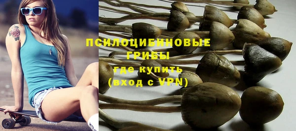 бошки Абдулино