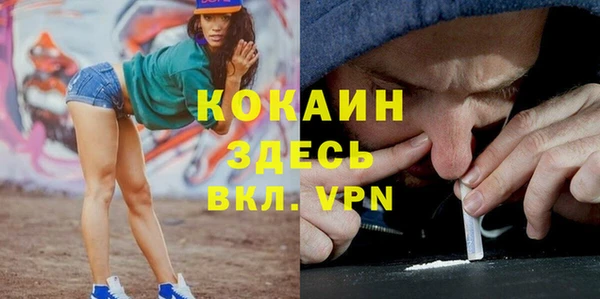 бошки Протвино