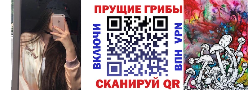 Псилоцибиновые грибы прущие грибы  что такое   Балахна 